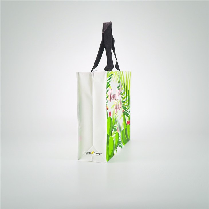 Cute Reusable Shopping Bag