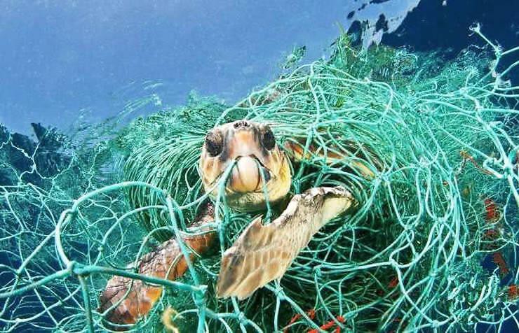 La plastica è il nemico