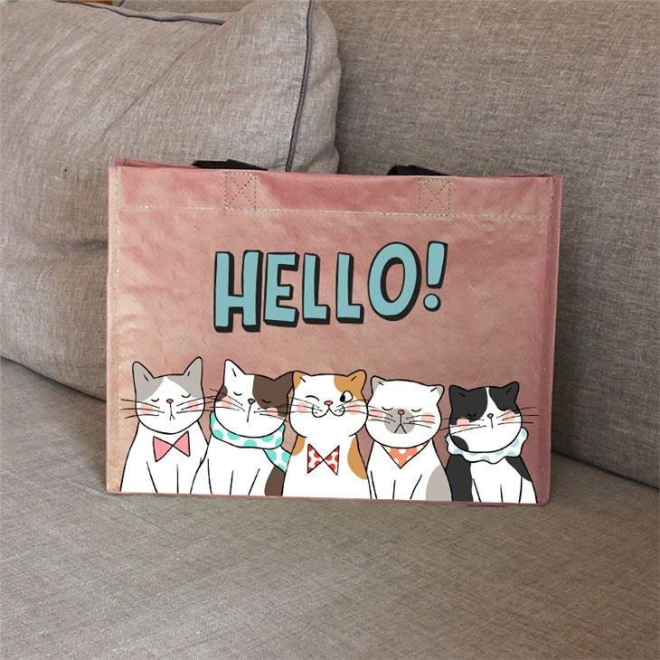 Beautiful Laminated Pp Bag