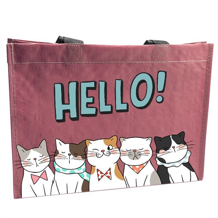 Beautiful Laminated Pp Bag