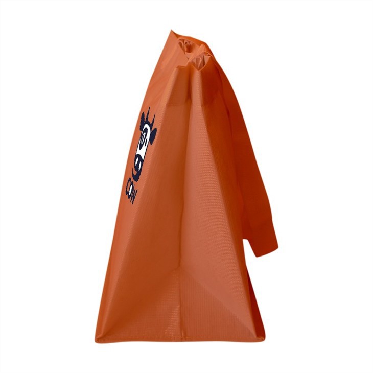 Best RPET Biodegrable Bag With Lamination