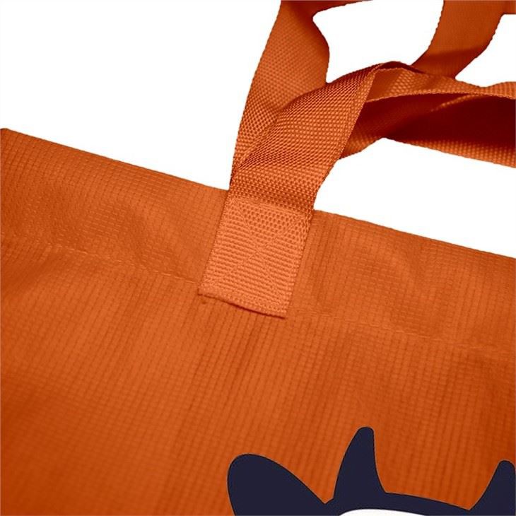 Best RPET Biodegrable Bag With Lamination