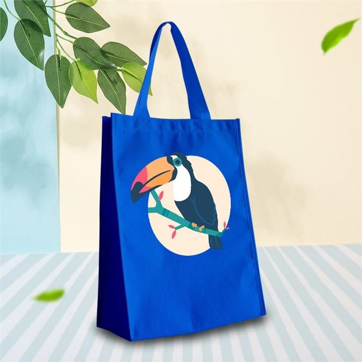 Fashionable RPET Tote Bag
