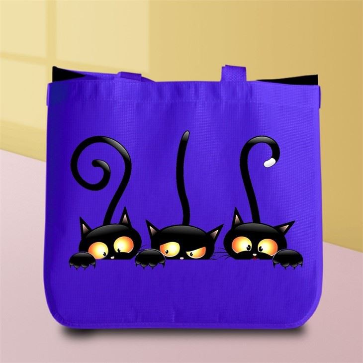 High Quality RPET Laminated Bag