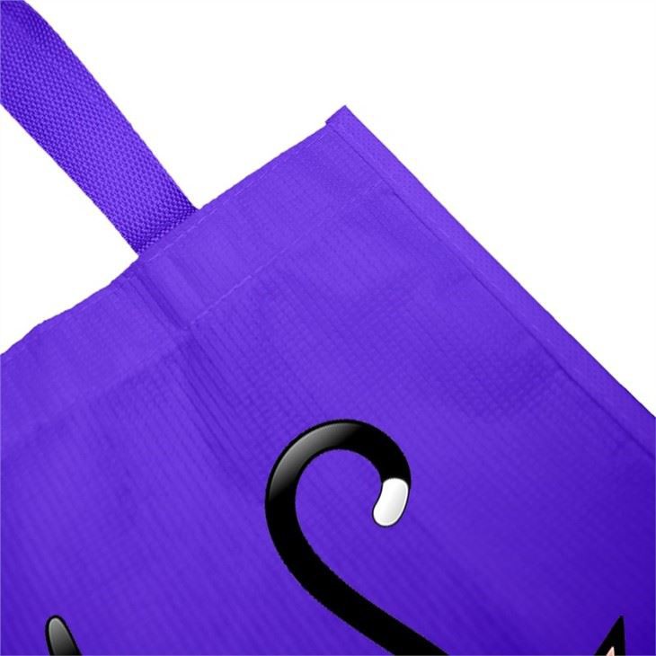 High Quality RPET Laminated Bag