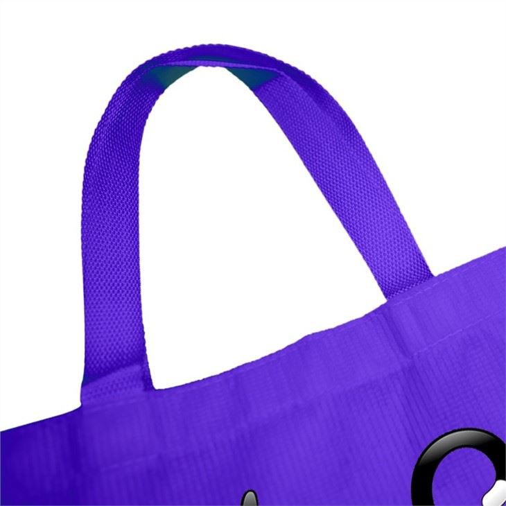 High Quality RPET Laminated Bag