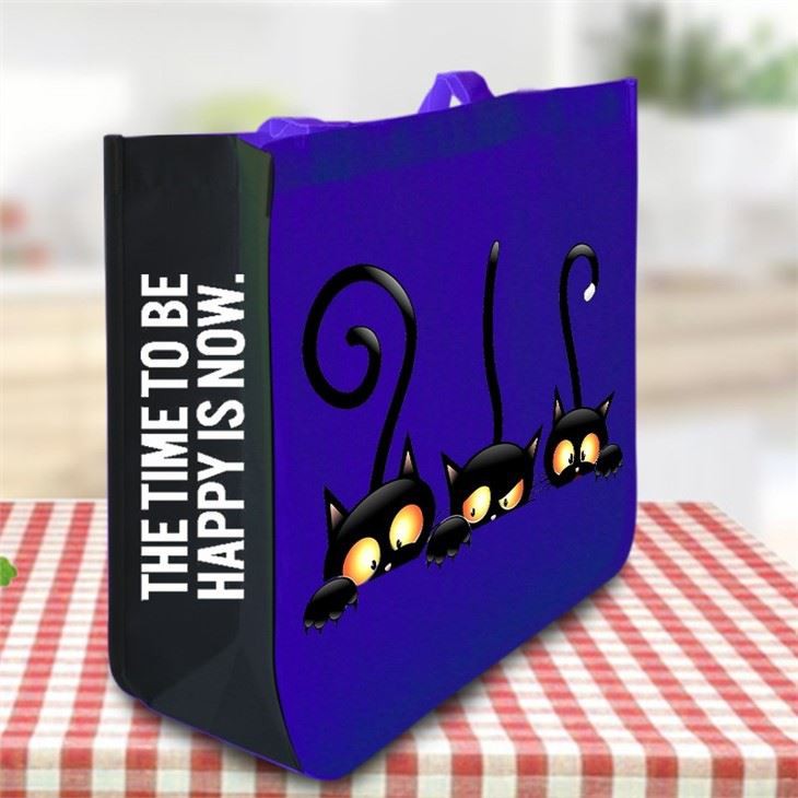 High Quality RPET Laminated Bag