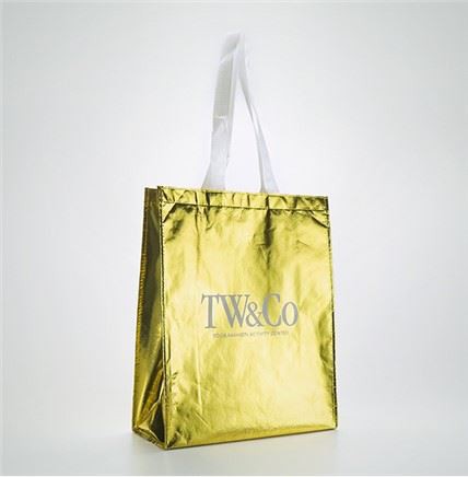 La migliore borsa in tessuto non tessuto normale
